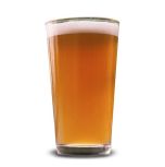 Santa Catalina Pale Ale - ARCHIVED